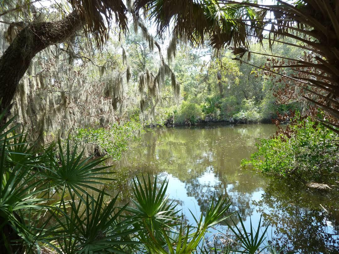 Oscar Scherer State Park